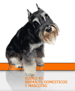 RUBRO 43: ANIMALES DOMESTICOS Y MASCOTAS